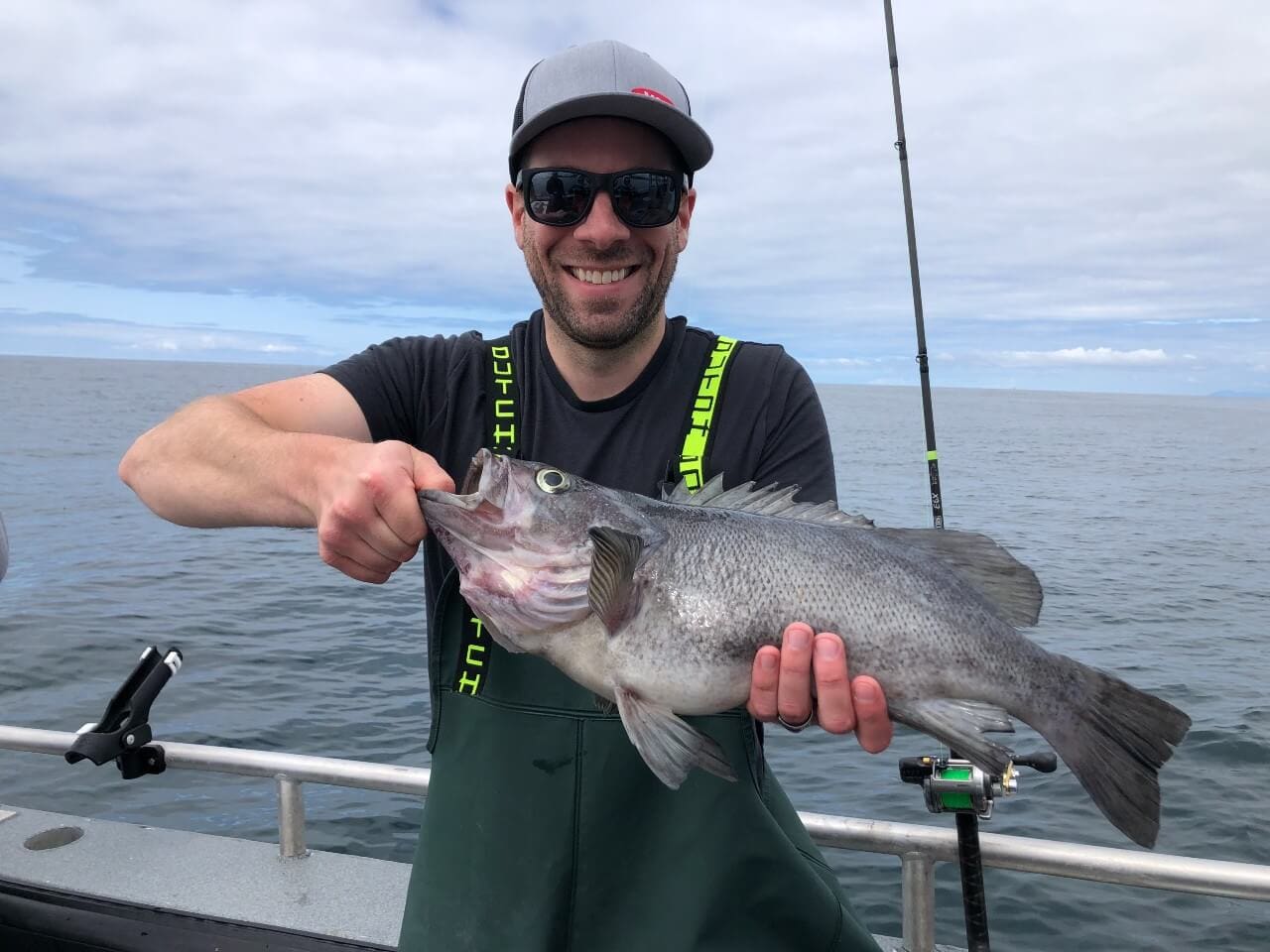 Black Rockfish - Pelagic Rockfish (sea bass)