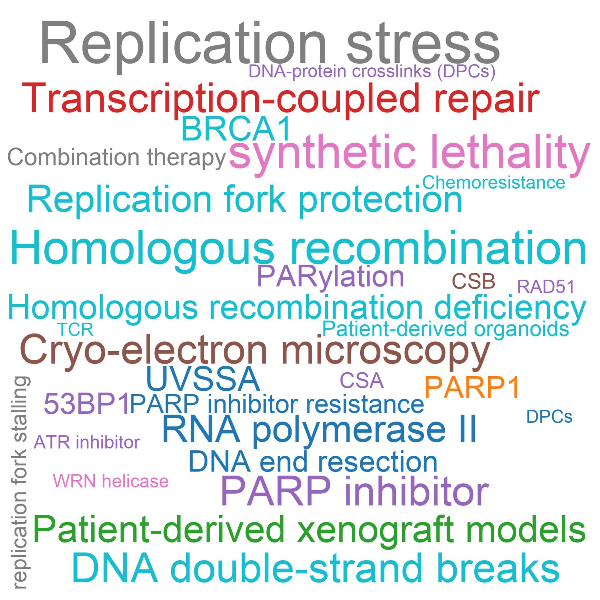 Leading research themes