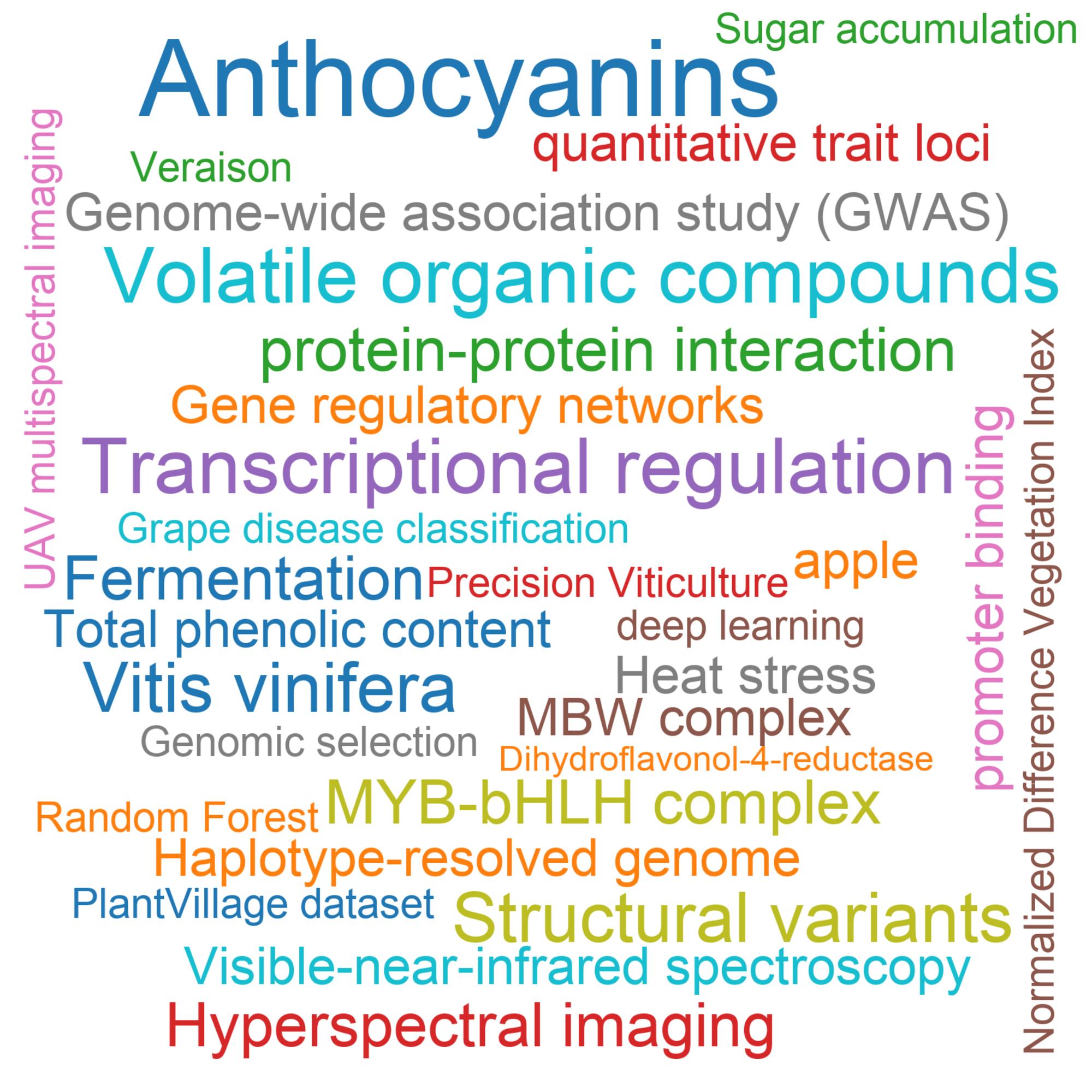 Leading research themes