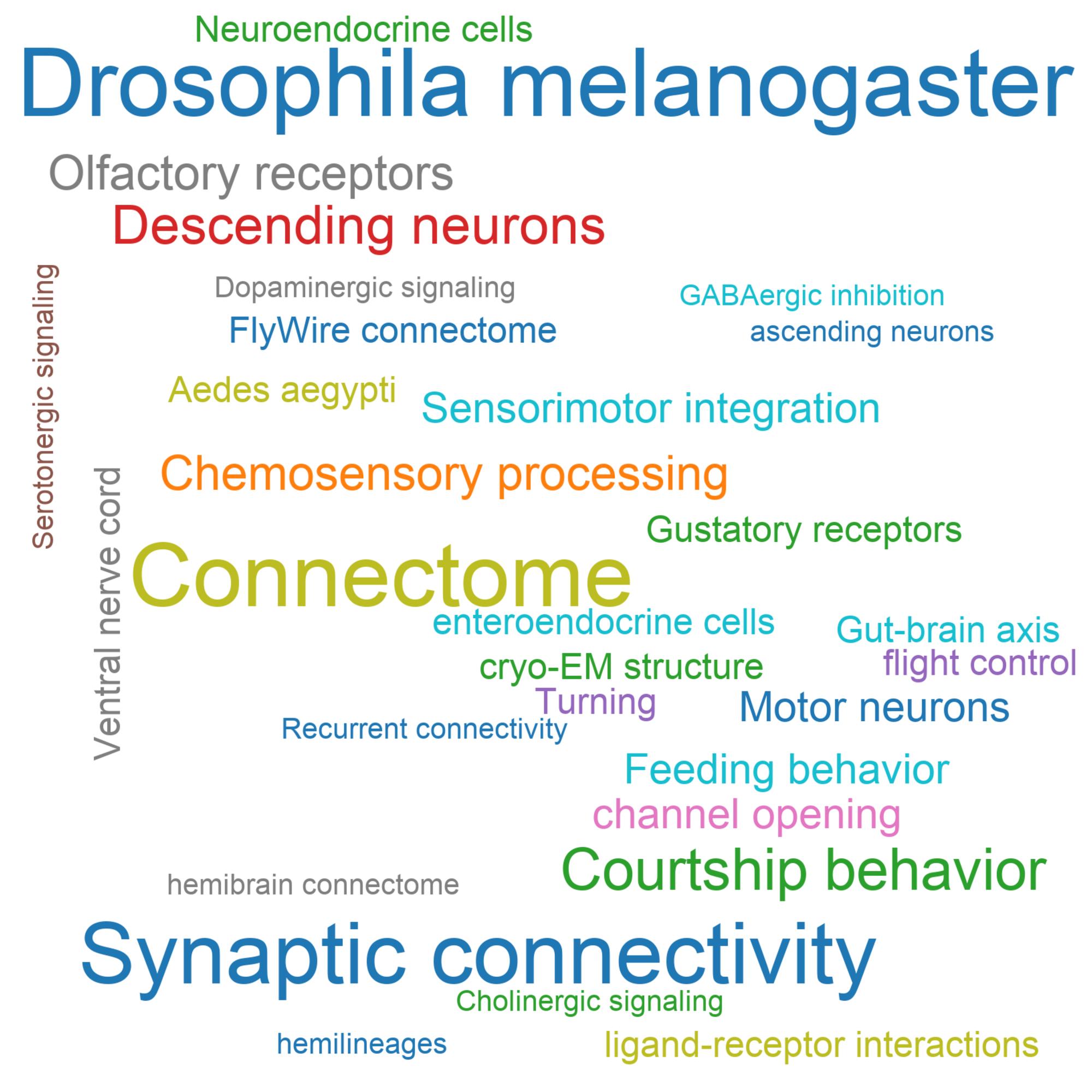 Leading research themes