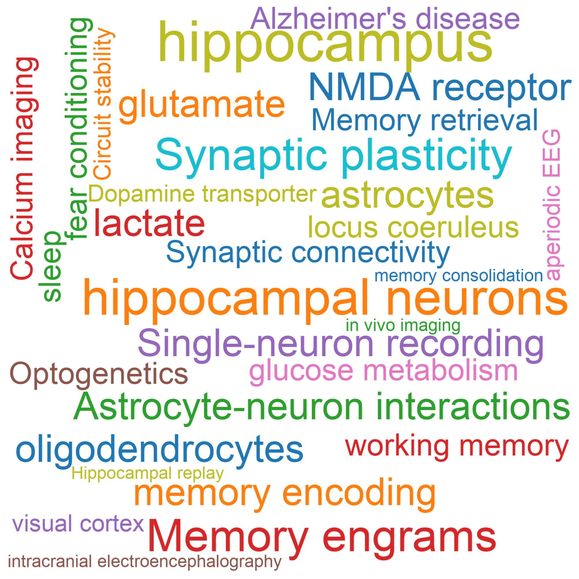 Leading research themes