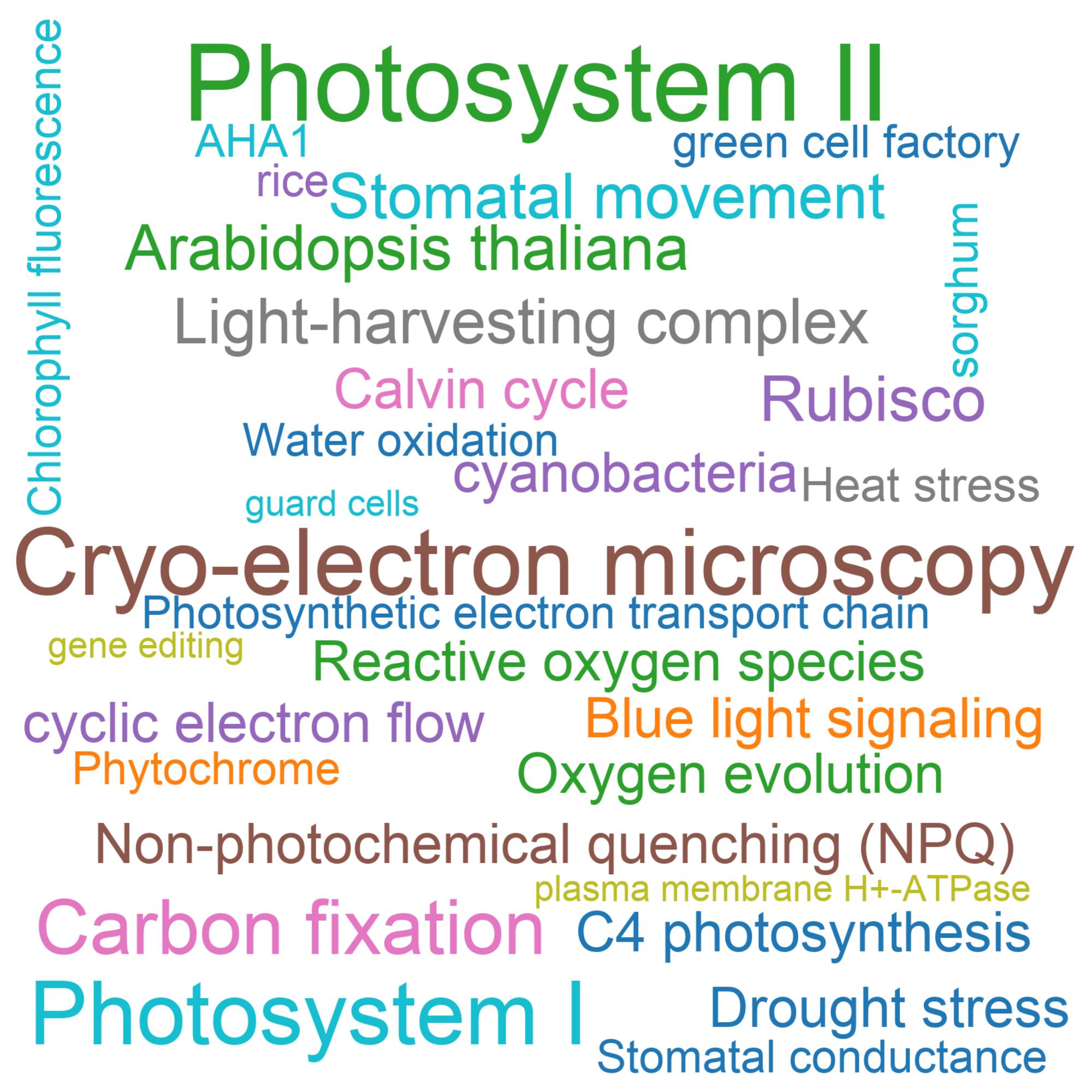Leading research themes