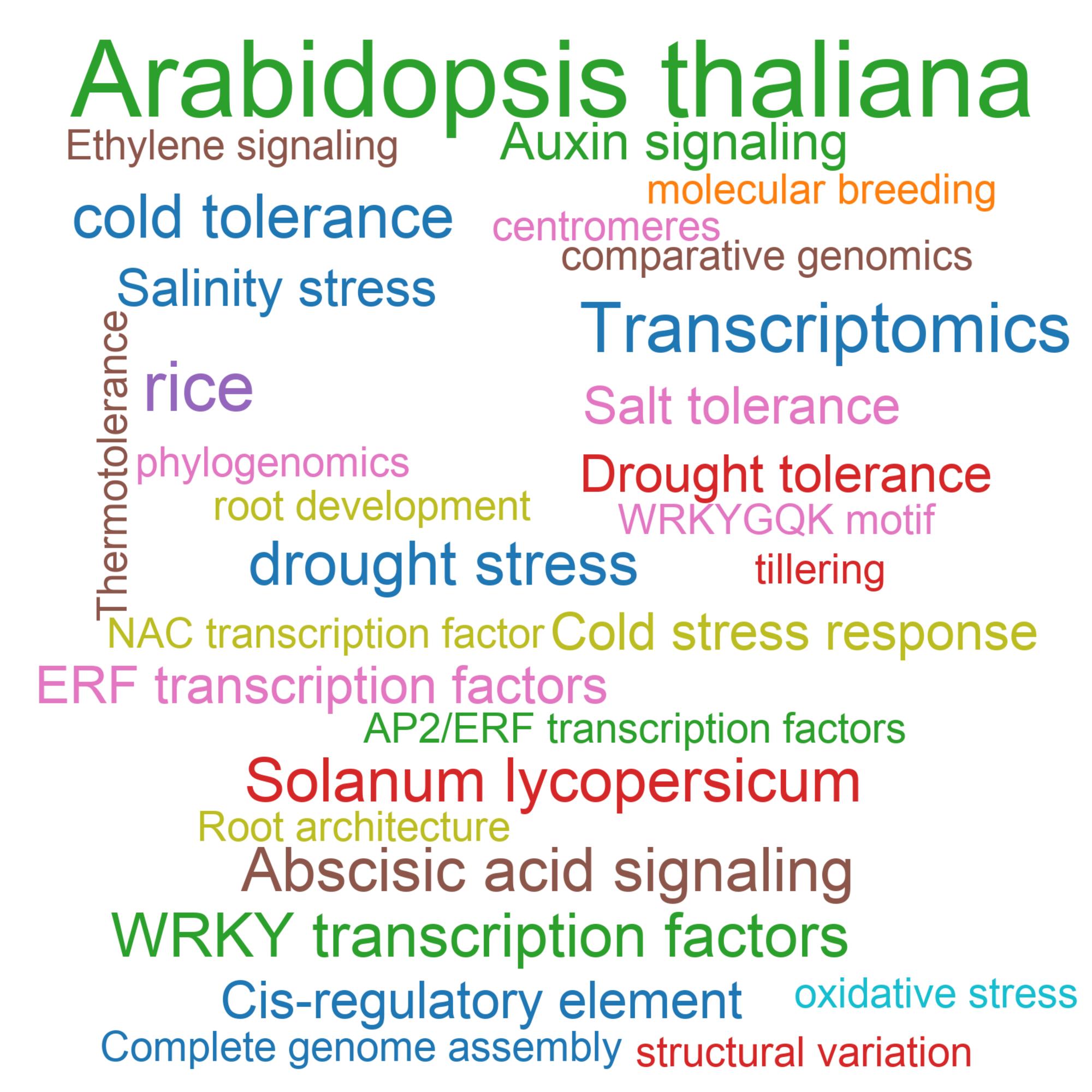 Leading research themes