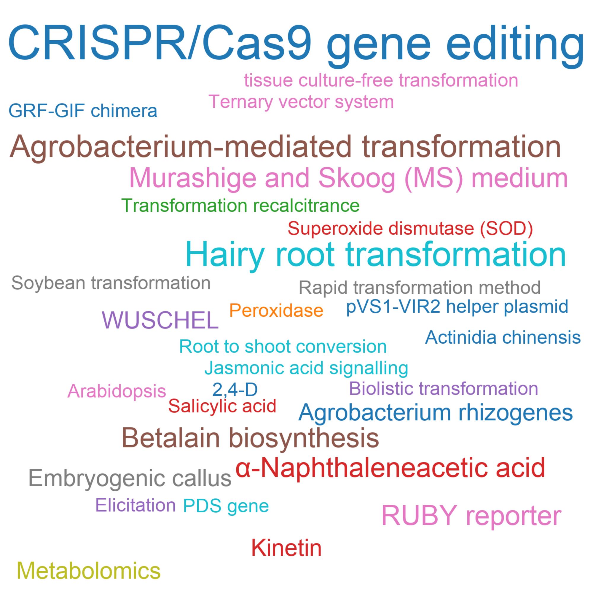 Leading research themes