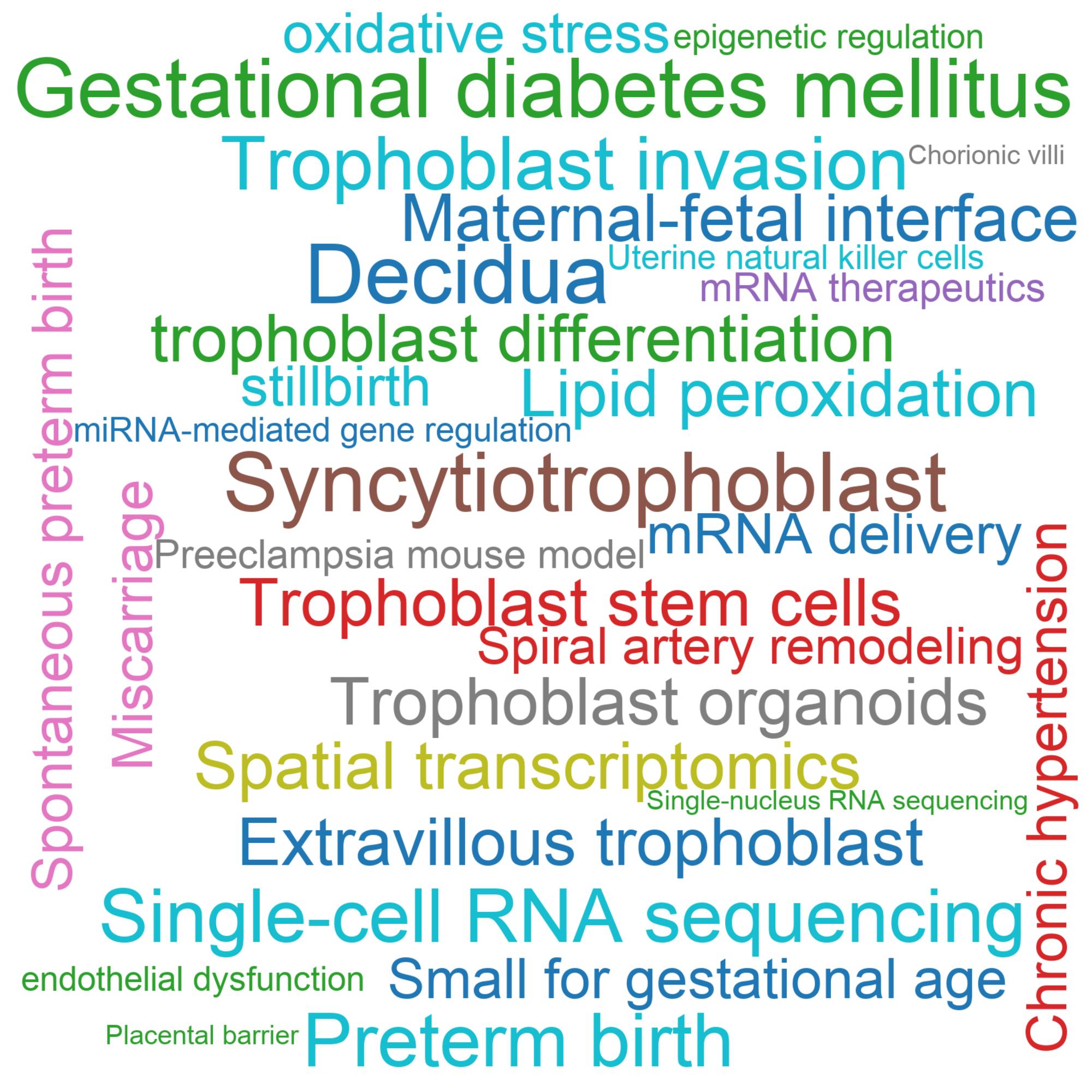 Leading research themes
