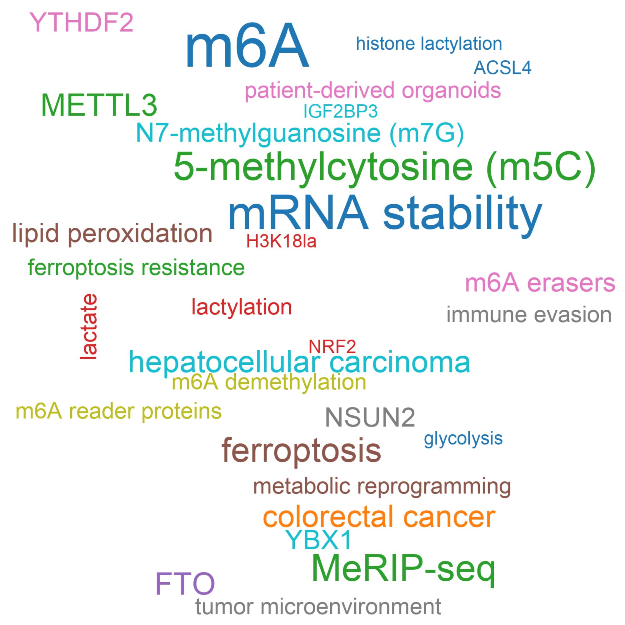 Leading research themes