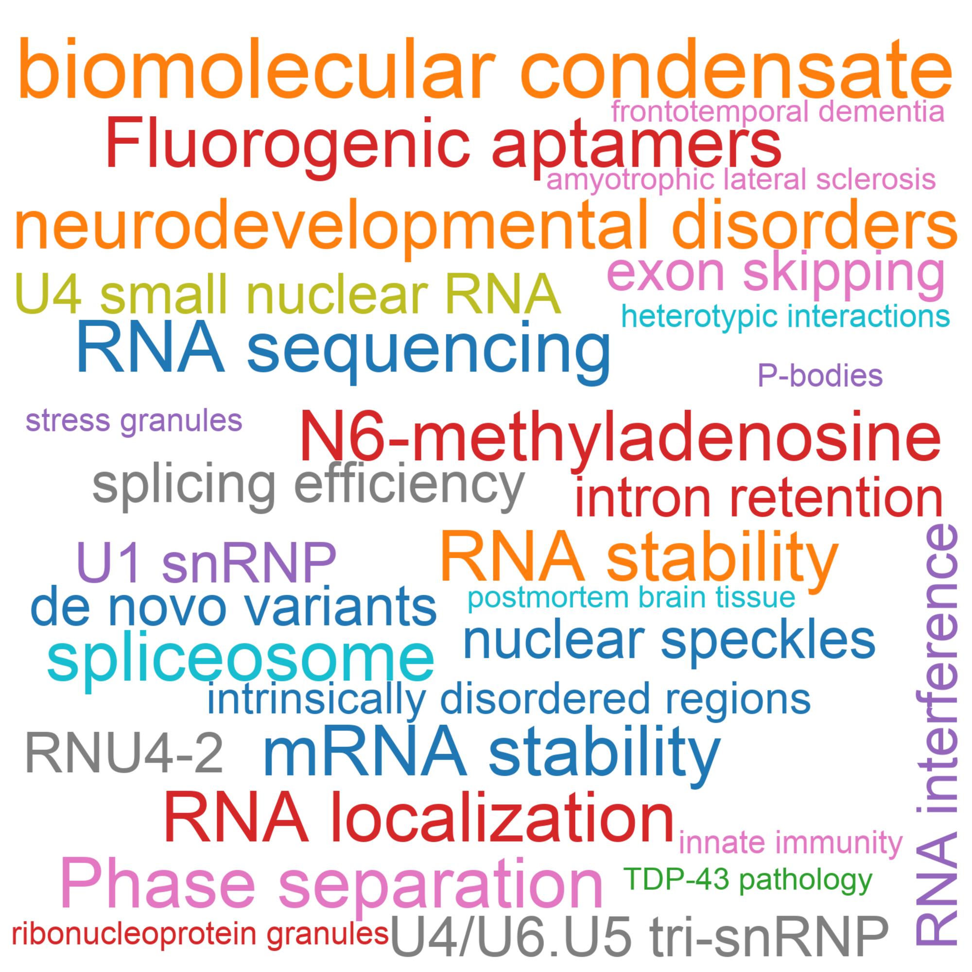 Leading research themes