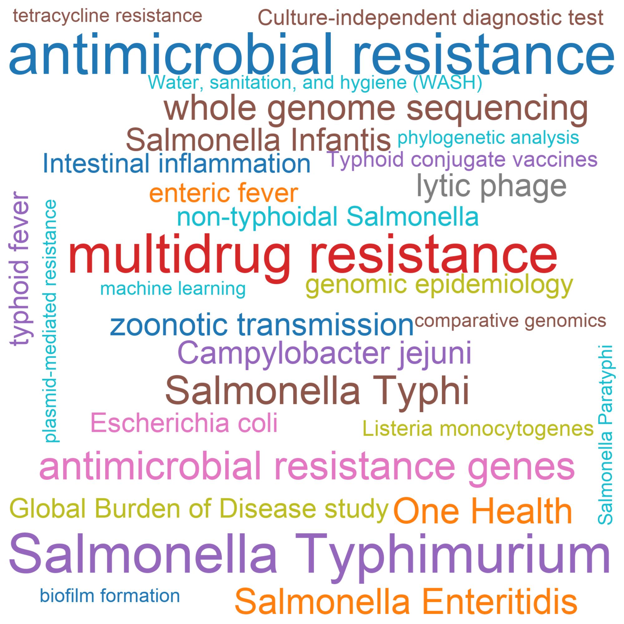 Leading research themes