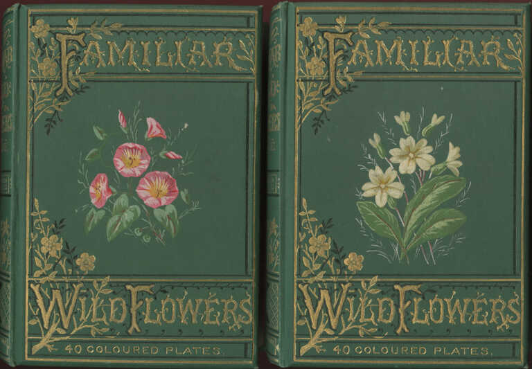 Familiar Wild Flowers Figured and Described / F. Edward Hulme picture number 1