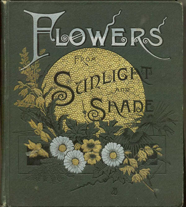 Flowers From Sunlight and Shade: Poems / S.B. Skelding picture number 1