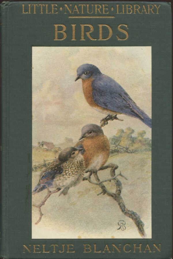 Birds Worth Knowing / Neltje Blanchan picture number 1