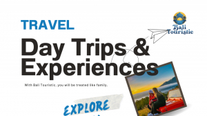 Sacred Monkey Forest Ubud: A Sanctuary of Nature and Culture