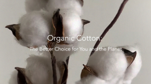 Organic Cotton: The Better Choice for You and the Planet