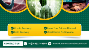 HIRE AN EXPERT TO RETRIEVE LOST CRYPTO ASSETS - HIRE, DUNE NECTAR WEB EXPERT TO RECOVER BITCOIN.