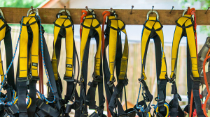Choosing the Right Harness for Fall Arrest