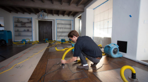 Expert Damage Restoration Services in Idaho Falls and Beyond