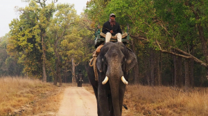 Wildlife Safari Tours in India