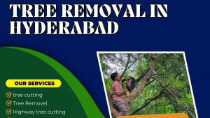 Best Tree Removal In Hyderabad