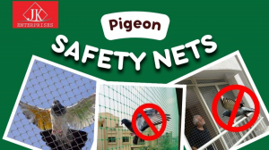 Pigeon Safety Nets in Bangalore
