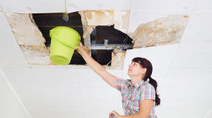 Expert Property Repair & Restoration with Heart