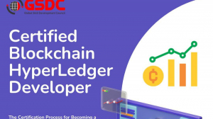 The Certification Process for Becoming a HyperLedger Developer: What to Expect