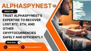 HIRE ALPHA SPY NEST  EXPERTS TO HELP RETRIEVE ALL YOUR LOST ASSETS: A STORY OF REDEMPTION.