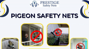 Top-Quality Pigeon Safety Nets in Bangalore – Protect Your Space Today!