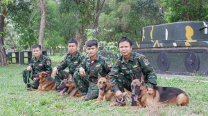 Trường Huấn Luyện Chó Quận 7