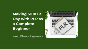 Making $100+ a Day with PLR as a Complete Beginner