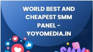 Get Best Social Media Marketing Panel : YoYo Media
