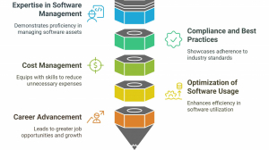 Why You Should Go for a Software Asset Management Certification 