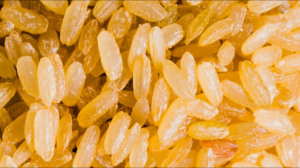 Brown rice has more arsenic than white: Study