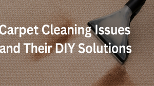 Carpet Catastrophes & DIY Fixes: Mastering Carpet Cleaning Issues Before They Worsen!