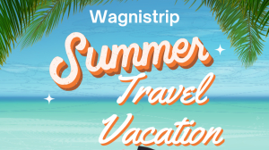 Best Discount on All Domestic Flights 