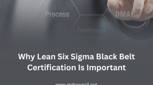 Why Lean Six Sigma Black Belt Certification Is Important