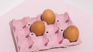 Why Buying Egg Cartons in Bulk is Better
