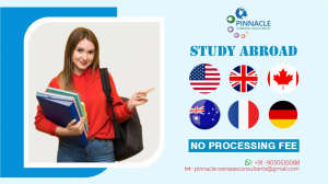 Write a back linking post about company Pinnacle Overseas  Consultants which deals in abroad educati