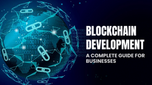 Unlocking Innovation with PrimaFelicitas: A Leader in Blockchain Development Services