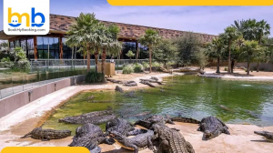 Dubai Crocodile Park Tickets Price With BookMyBooking