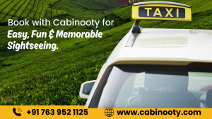 Ooty Cabs – Comfortable and Dependable Rides with CAB IN OOTY