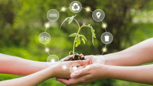 Proyectos Sustentables en México: Cómo la Ingeniería en Desarrollo Sustentable Está Transformando el