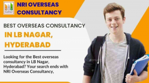 Best Overseas Consultancy in LB Nagar, Hyderabad