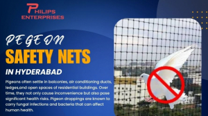 Pigeon Safety Nets in Hyderabad