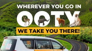 Cab Service in Ooty – Comfortable and Trusted Travel with CAB IN OOTY