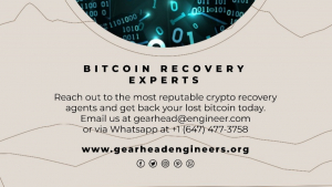 Hire GearHead Engineers Cybersecurity Services for Crypto Recovery and Asset Protection