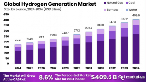 Hydrogen Generation Market Government Policies & Incentives