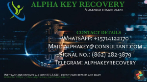 CONSULT AN ALPHA KEY, A LICENSED CRYPTO RECOVERY HACKER EXPERT