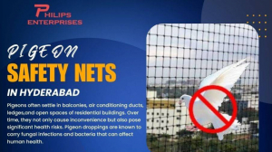 Pigeon Safety Nets in Hyderabad