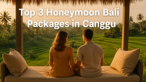 Honeymoon Bali Packages in Canggu