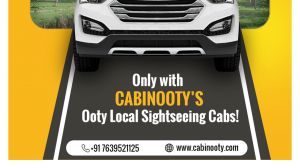 Trusted Ooty Travel Services for a Comfortable Journey